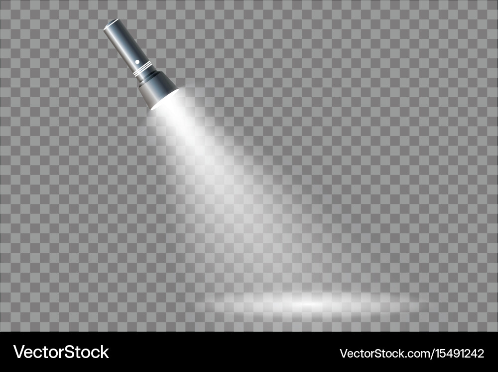 Flashlight isolated on transparent background vector image