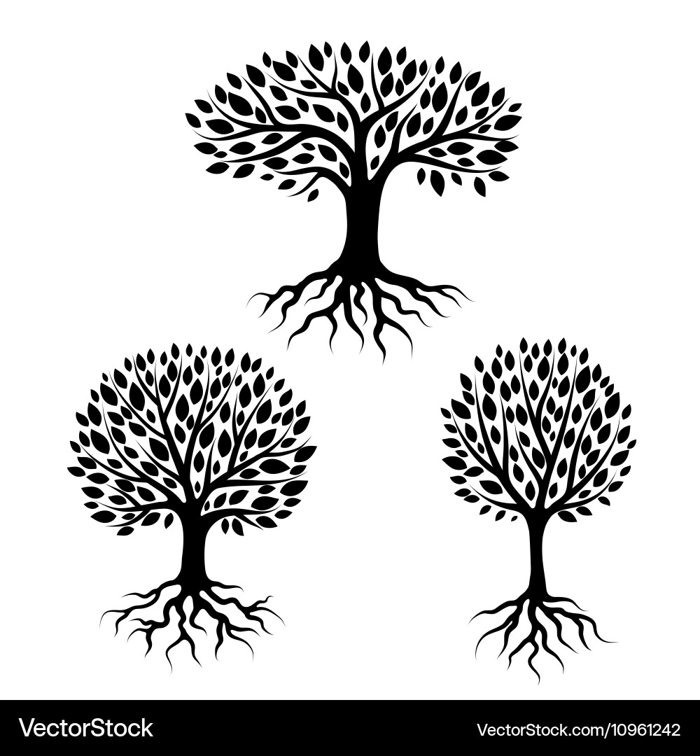 Set of abstract stylized trees with roots Vector Image