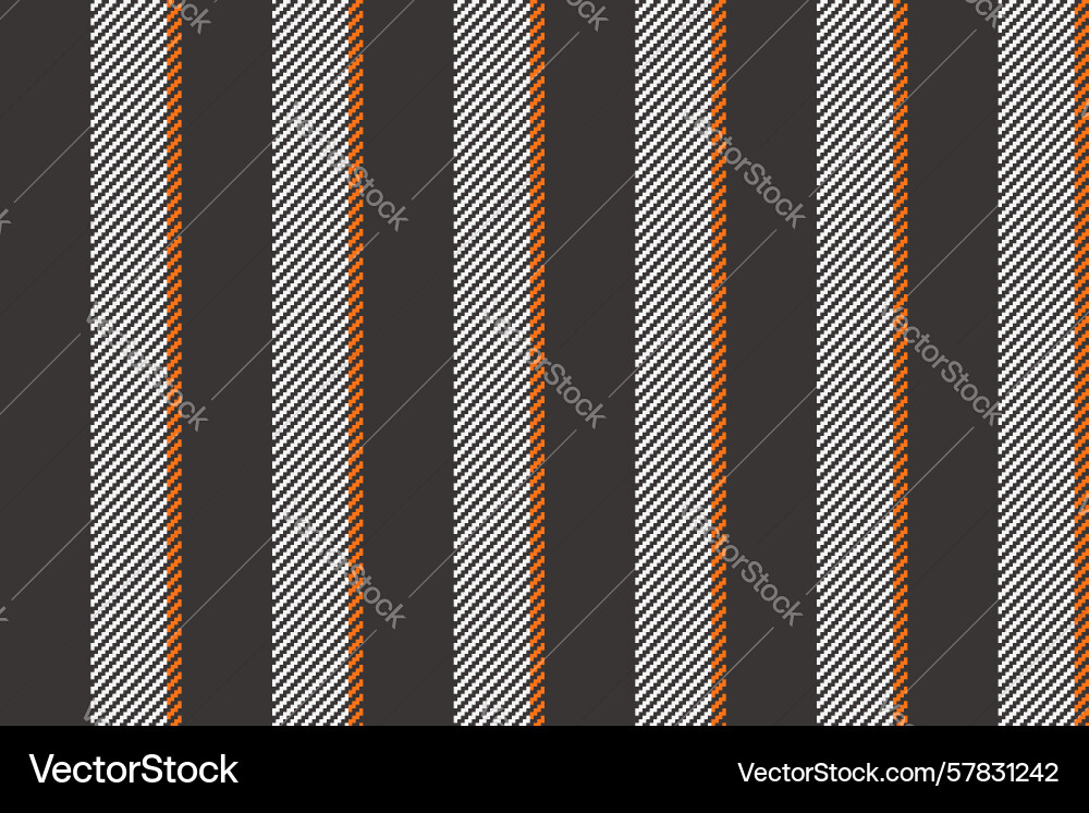 Tunter lines stripe background trendy pattern Vector Image