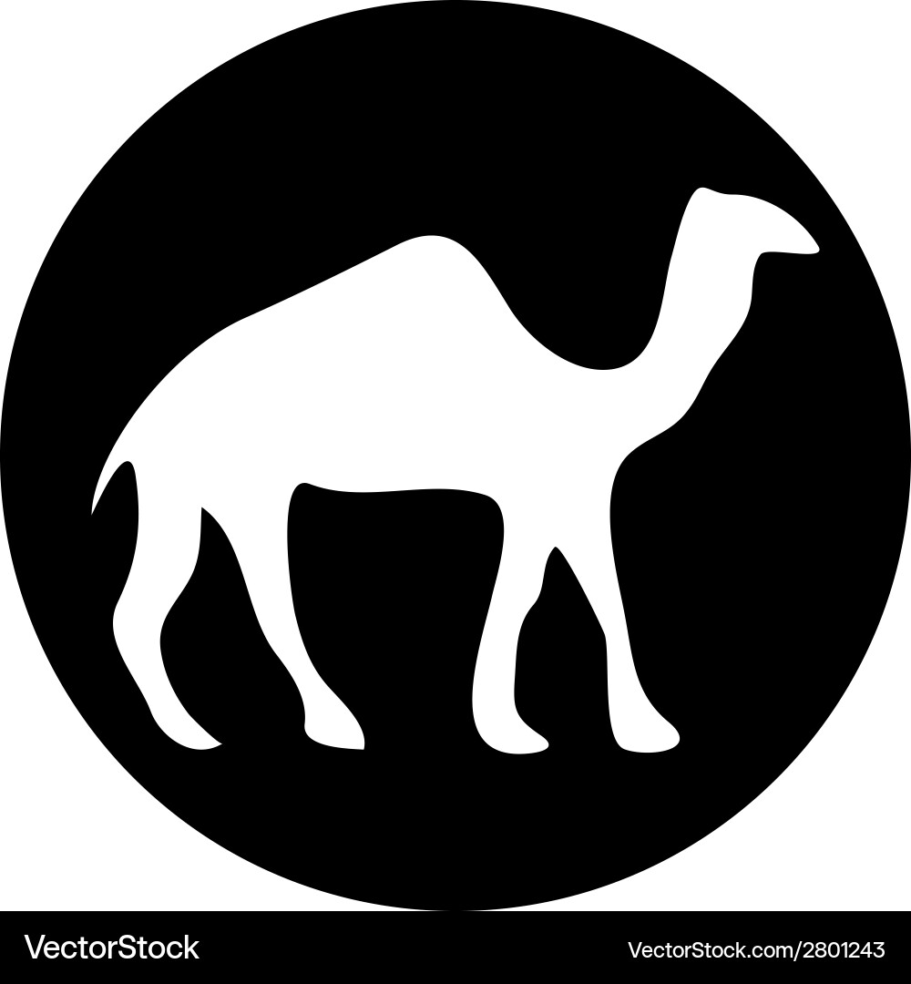 Camel button Vector Image