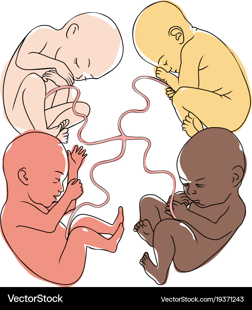 Human Connection & Diversity vector image