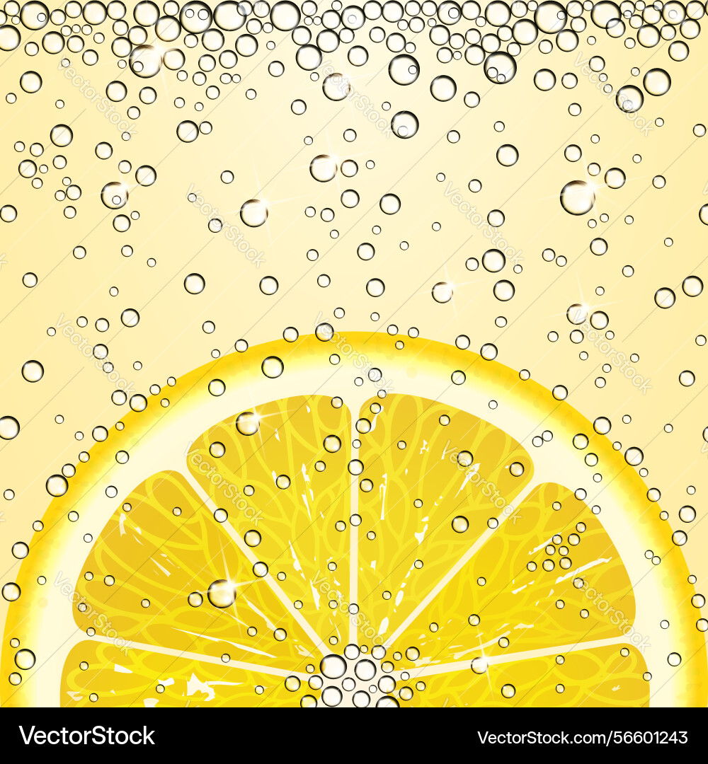 Lemonade with a slice of lemon and bubbles Lemonade with a slice of lemon and bubbles vector image