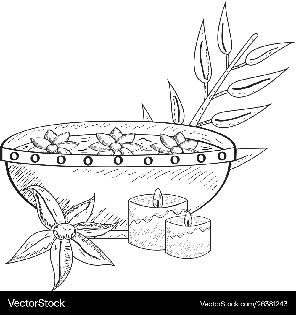 Sketch spa objects vector image