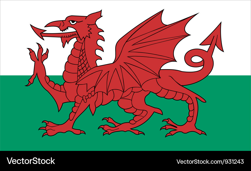 Welsh Flag vector image