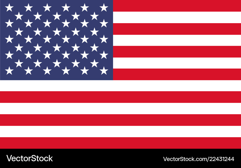 American Flag Icon Vector Image