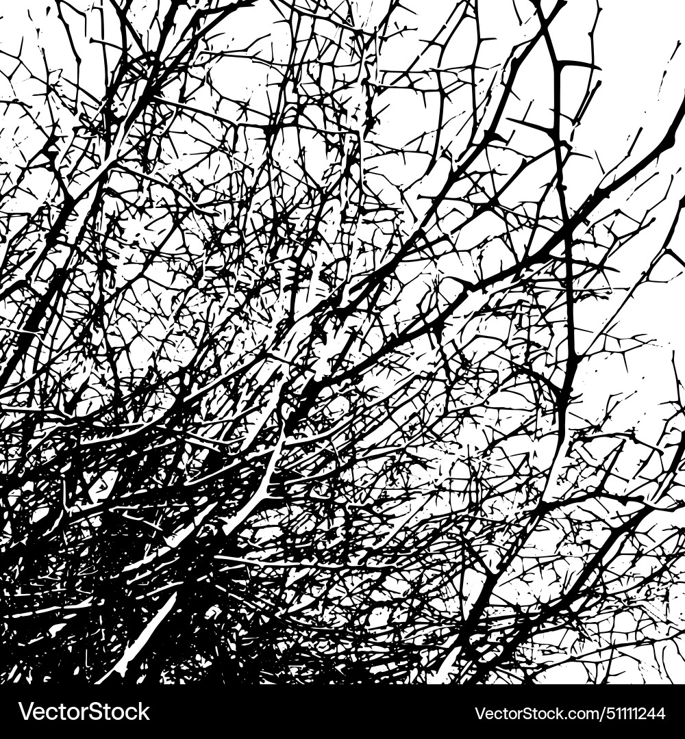 Background bare tree branches not ai Vector Image