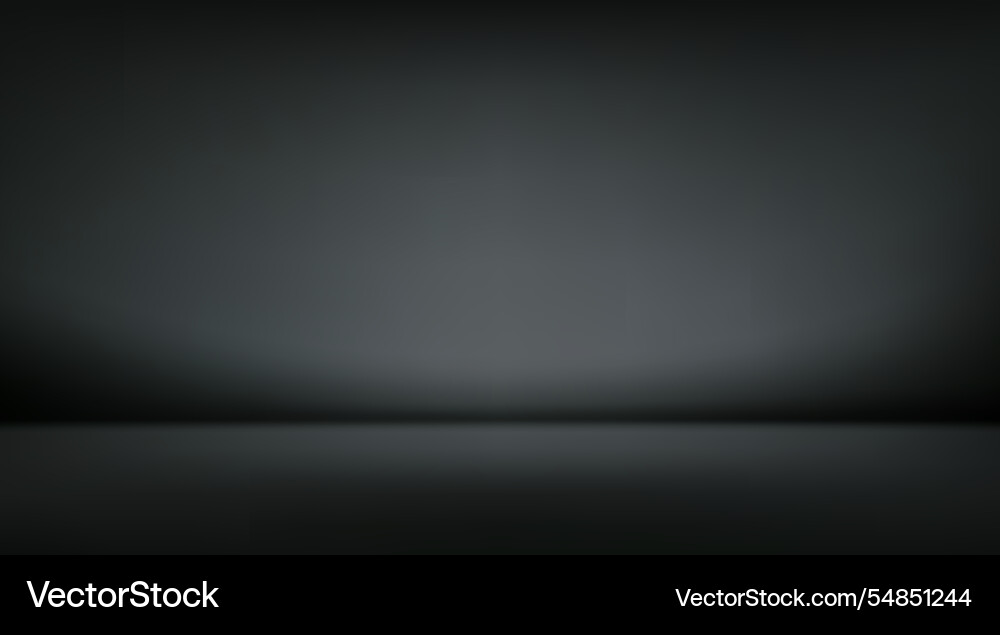 Black aesthetic minimalist empty photo studio room Black aesthetic minimalist empty photo studio room vector image