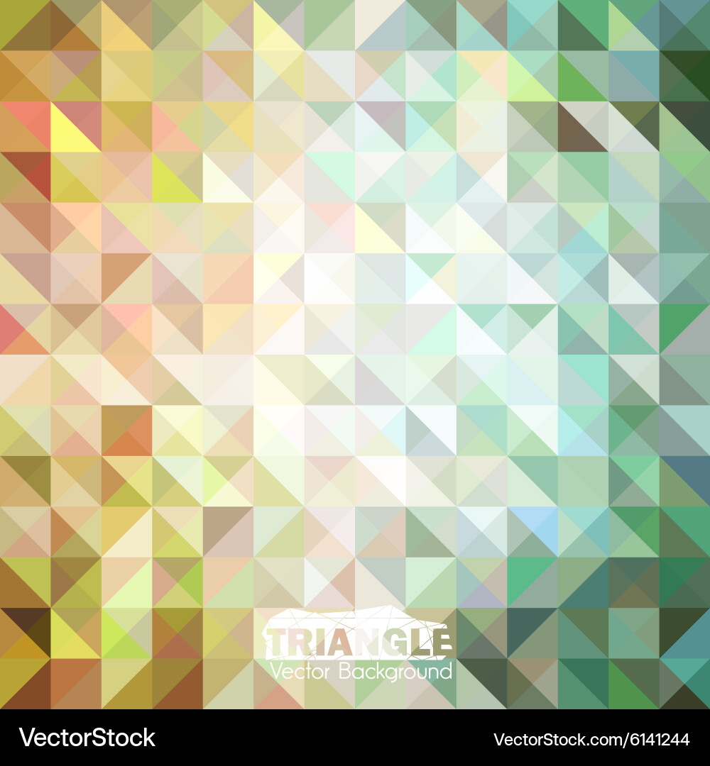 Geometric Triangle Pattern vector image
