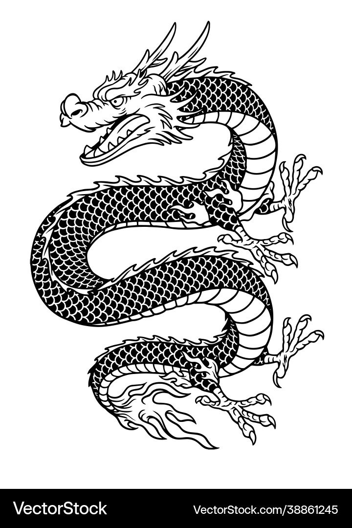 Elegant Black and White Dragon Artwork vector image