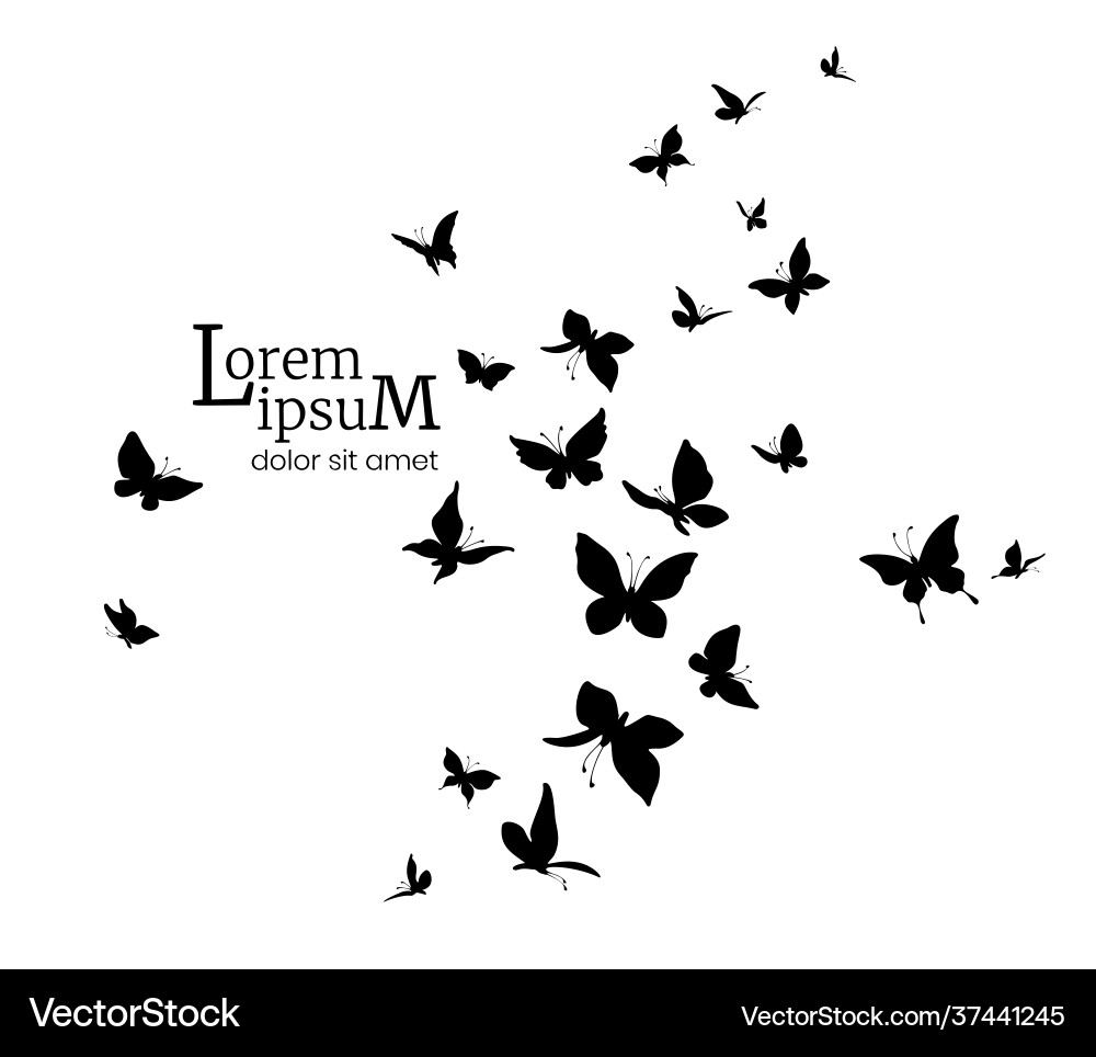 Flock butterflies logo design template Flock butterflies logo design template Vector Image