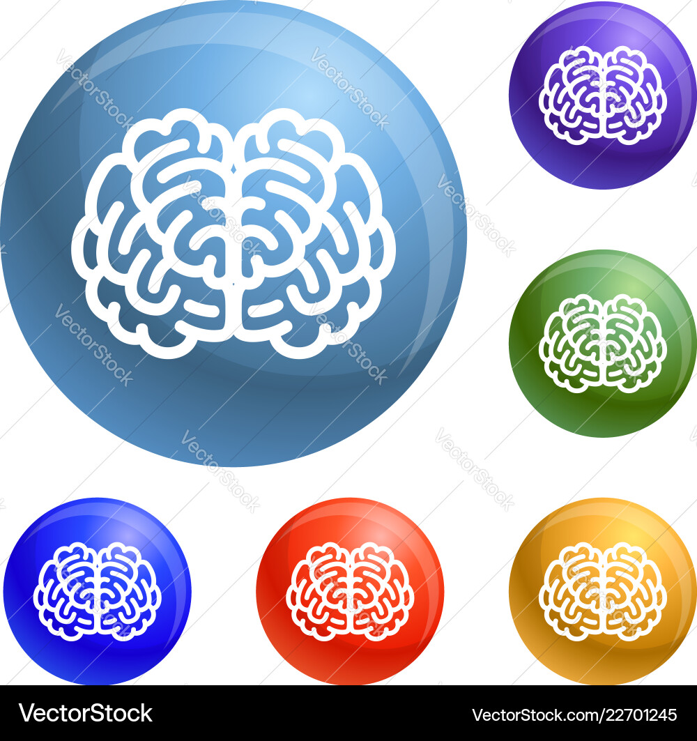 Front side brain icons set Front side brain icons set vector image