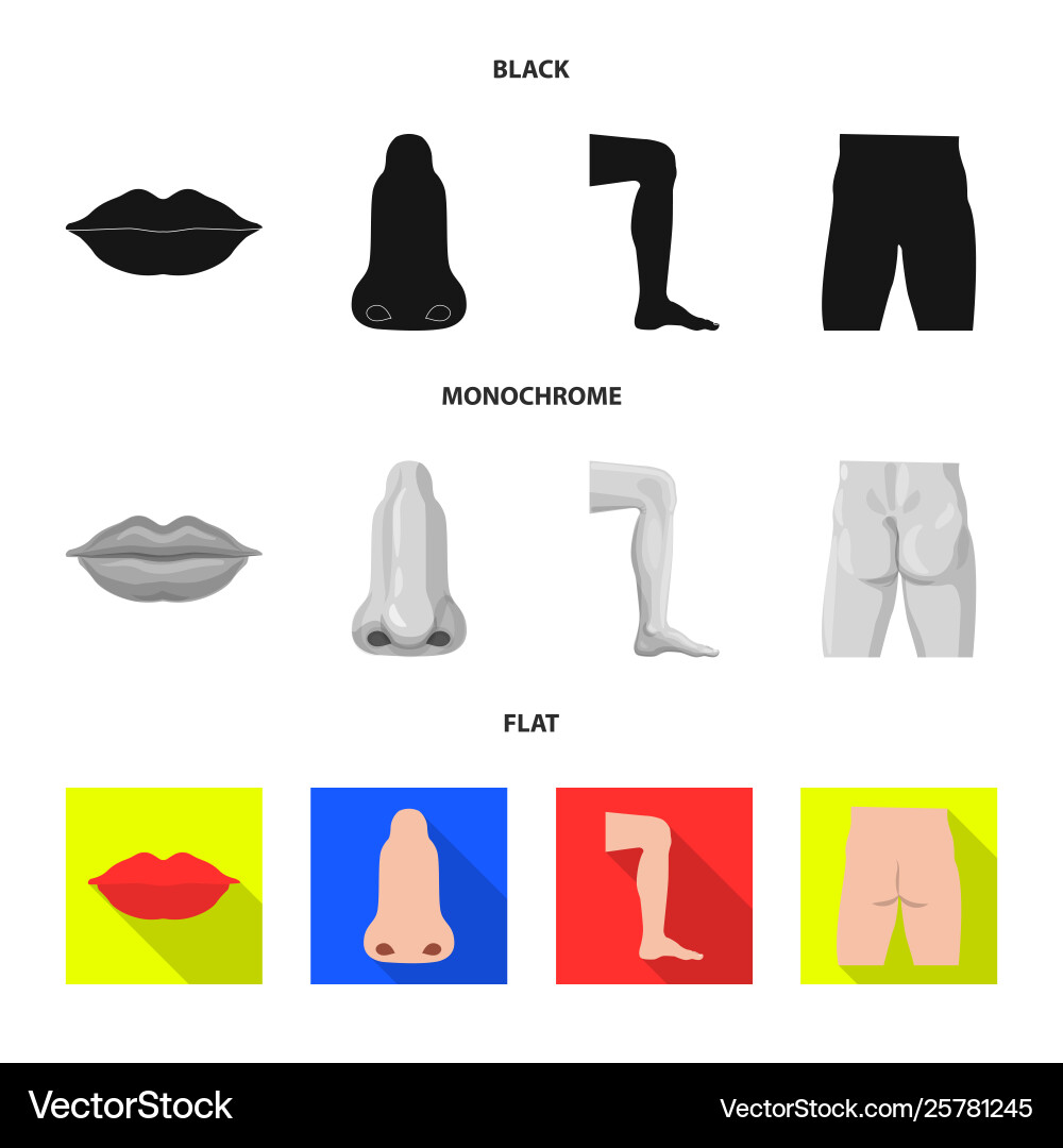 Isolated object human and part symbol set Isolated object human and part symbol set vector image