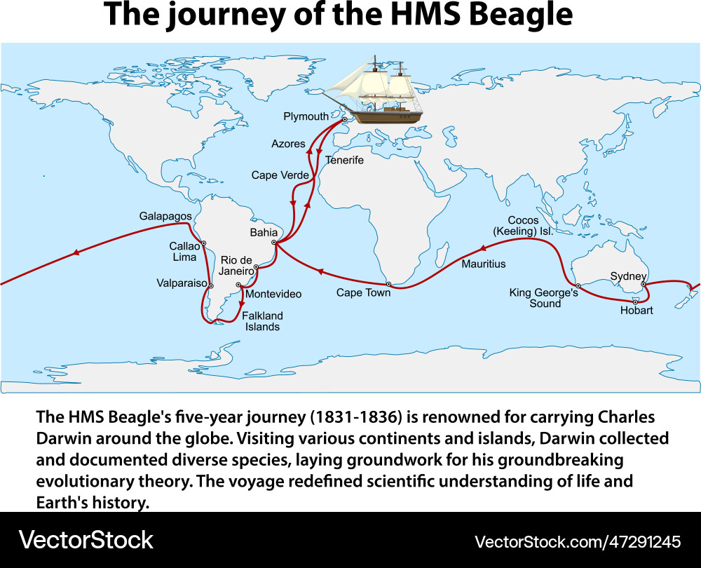 Journey of the hms beagle information Vector Image