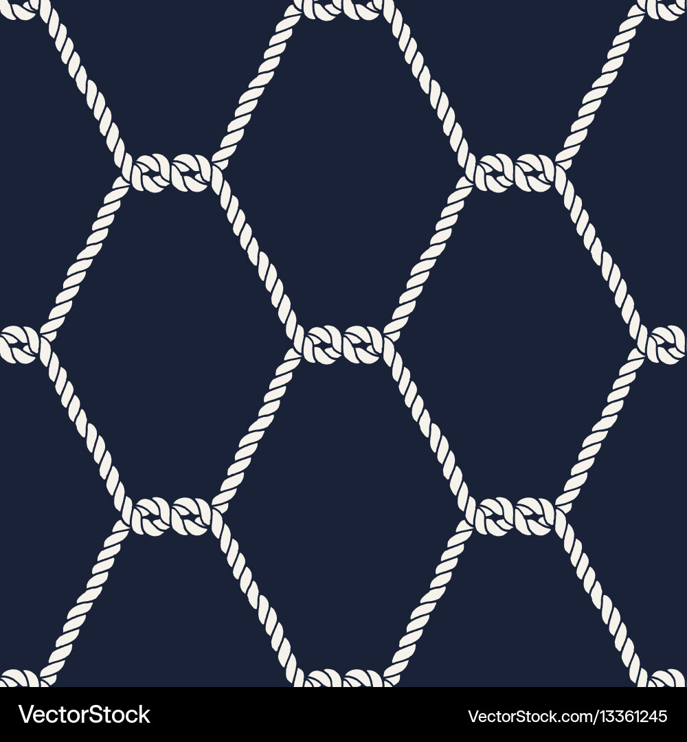 Nautical Rope Network Pattern vector image
