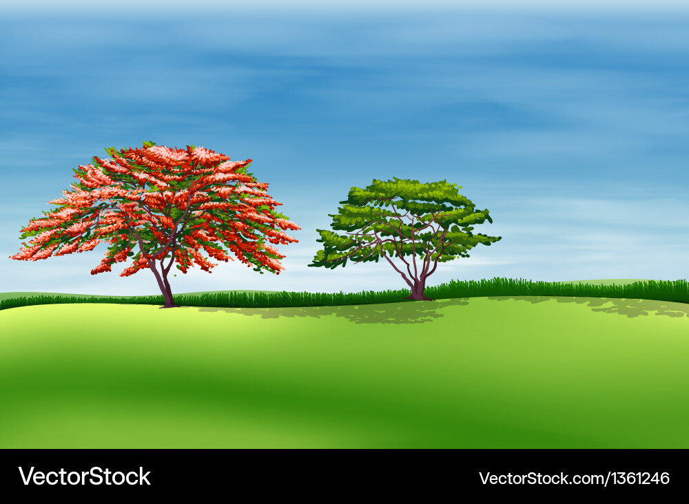 Environment Royalty Free Vector Image - VectorStock
