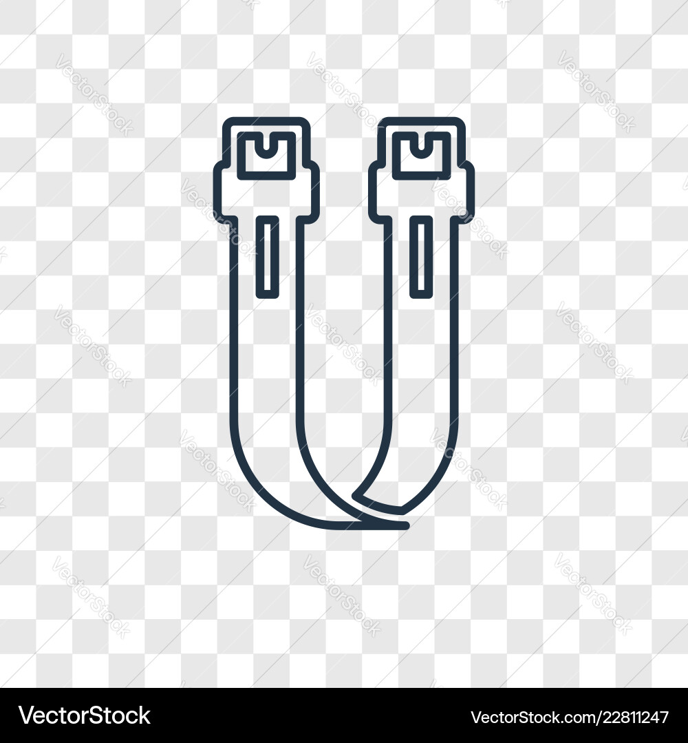 Sata concept linear icon isolated on transparent Sata concept linear icon isolated on transparent vector image