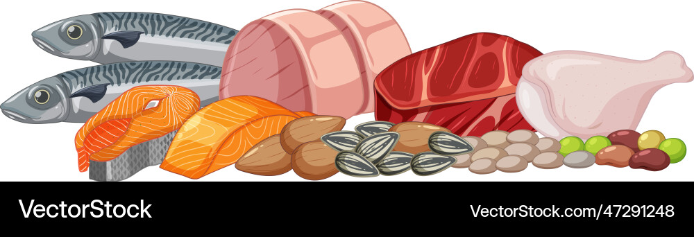 Assorted meat and seafood for menu design vector image