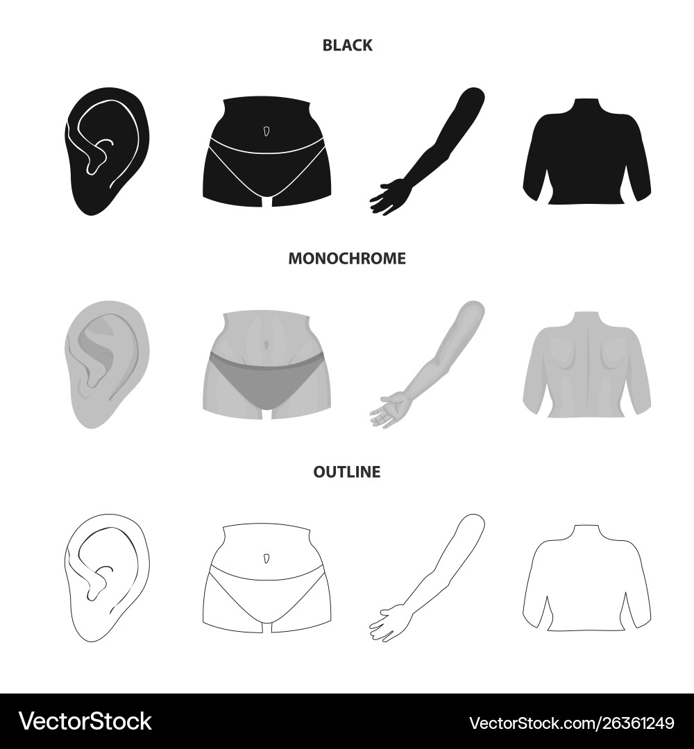 Isolated object body and part symbol Isolated object body and part symbol Vector Image