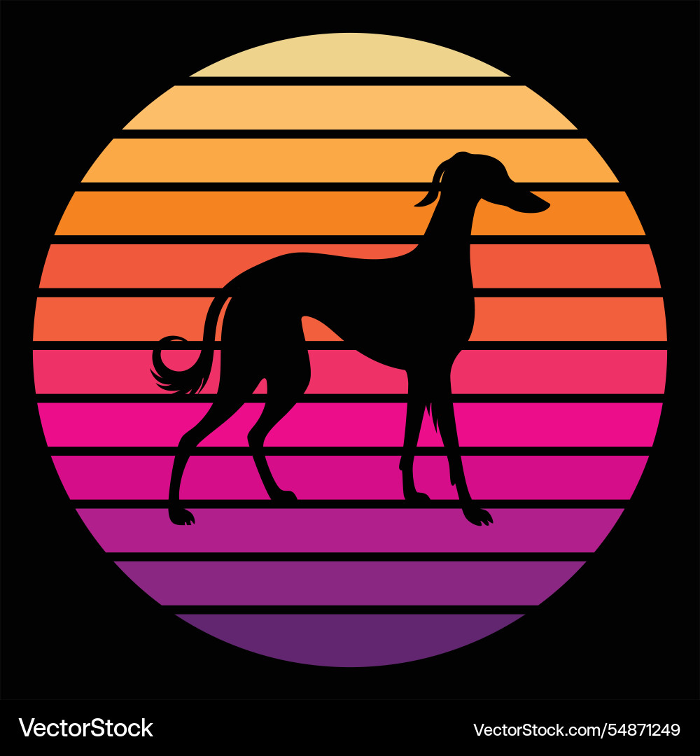 Saluki sunset retro design Saluki sunset retro design vector image