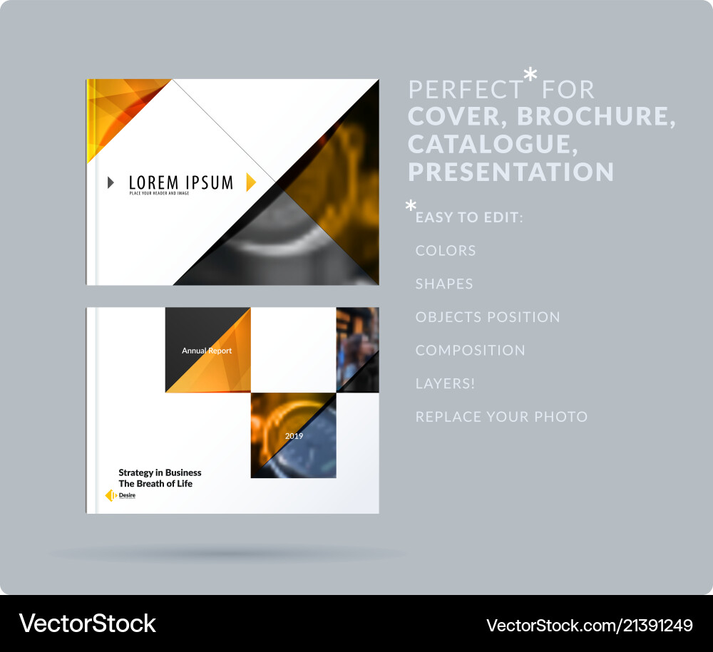 Triangular design presentation template Triangular design presentation template vector image