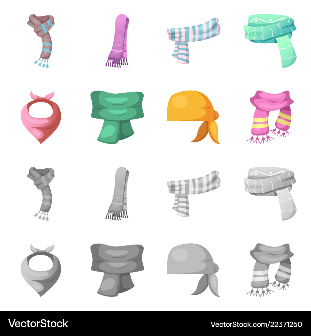 Isolated object of scarf and shawl icon Vector Image