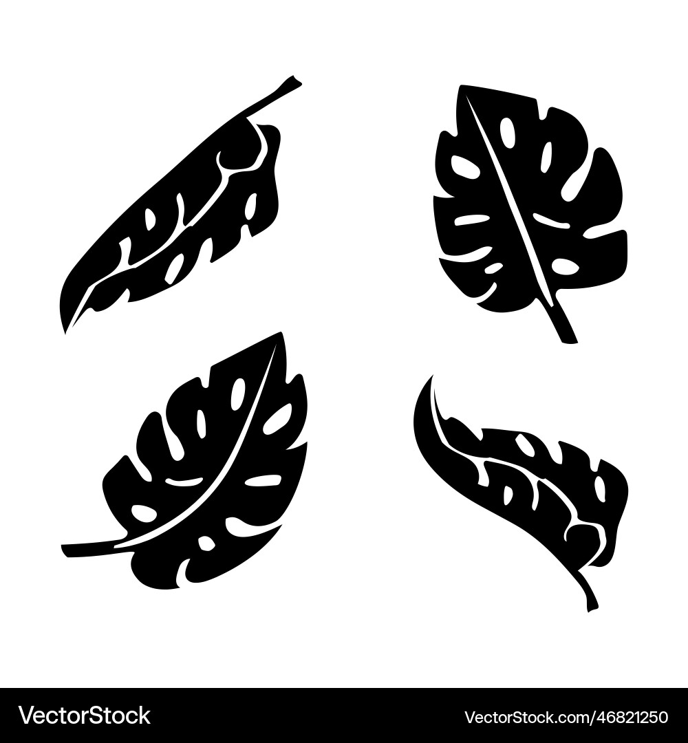 Leaves are black in abstract style design Leaves are black in abstract style design vector image