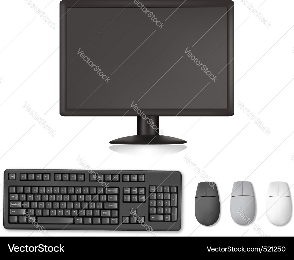 Monitor and keyboard mouses vector image