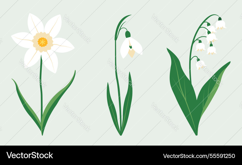 Spring flowers Royalty Free Vector Image - VectorStock