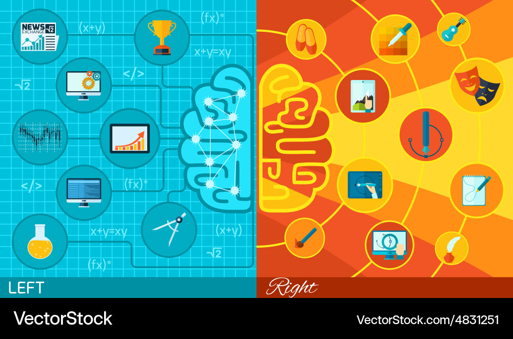 Left and right brain function vector image