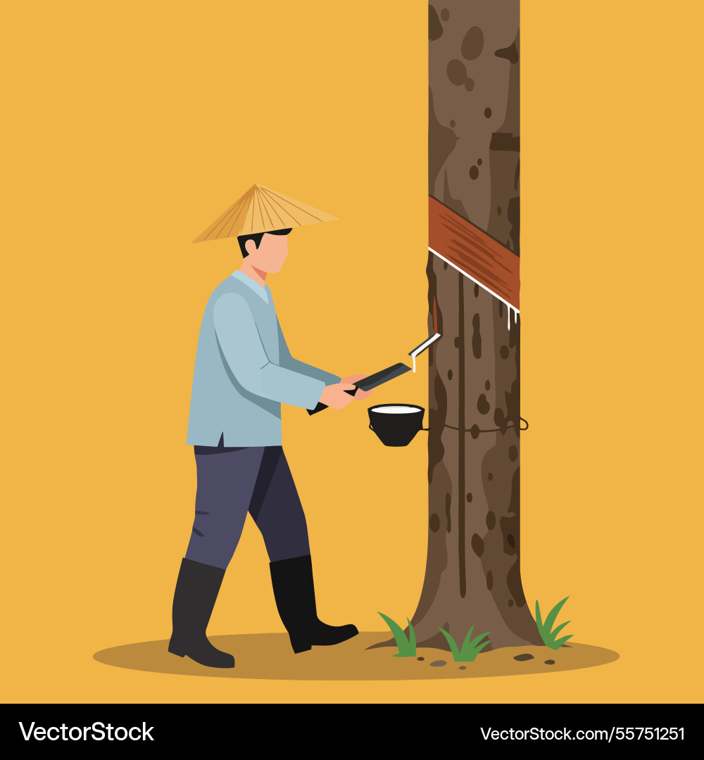 Man collecting sap from tree with traditional Vector Image