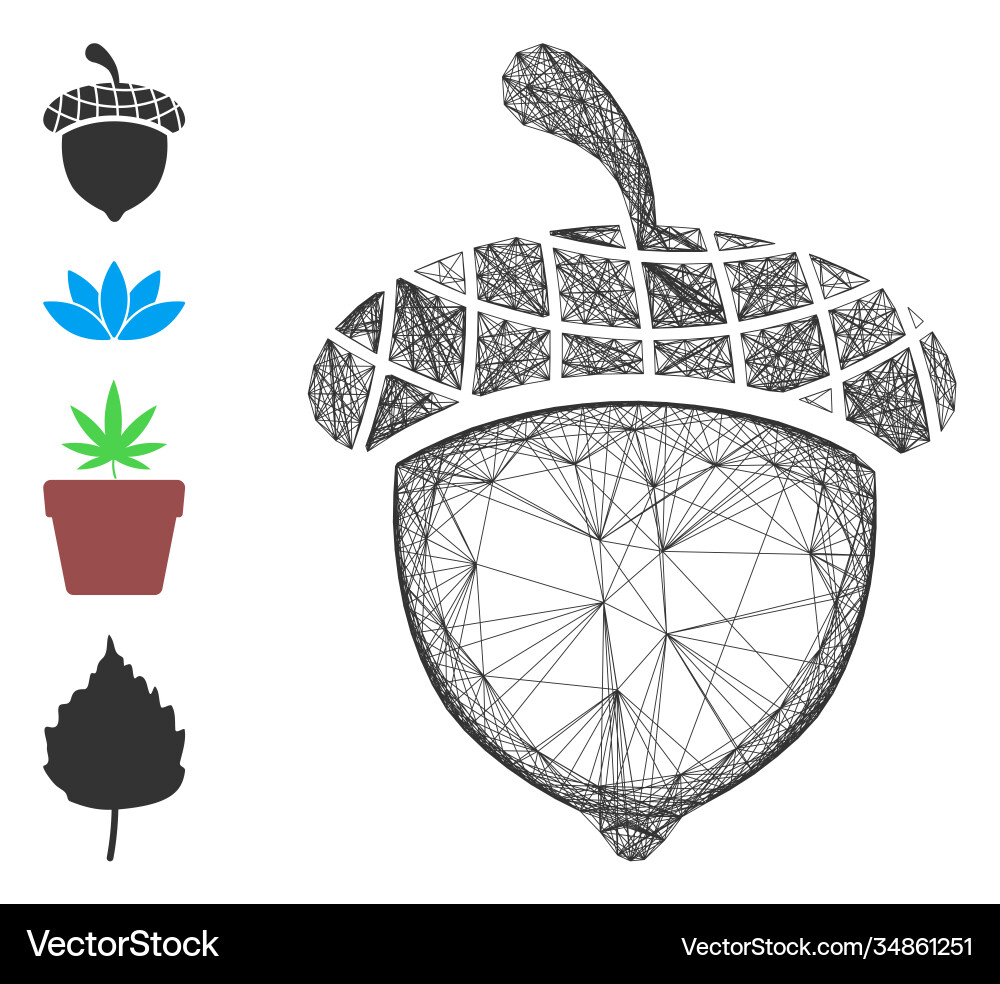 Net acorn mesh vector image