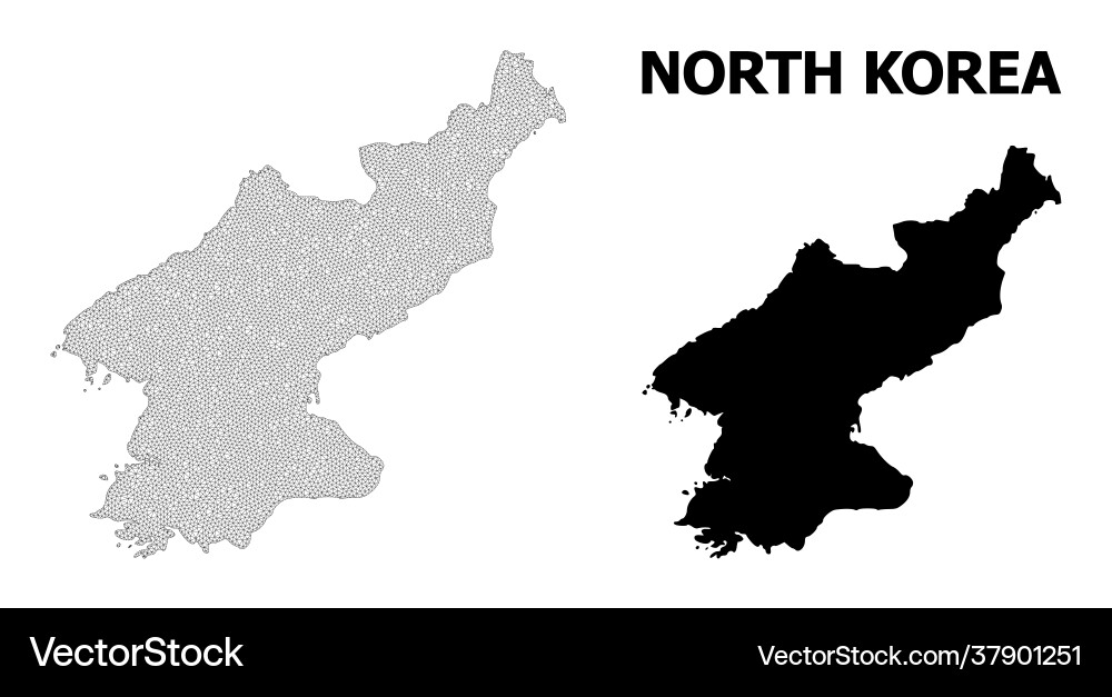 Polygonal network mesh high resolution map Polygonal network mesh high resolution map vector image