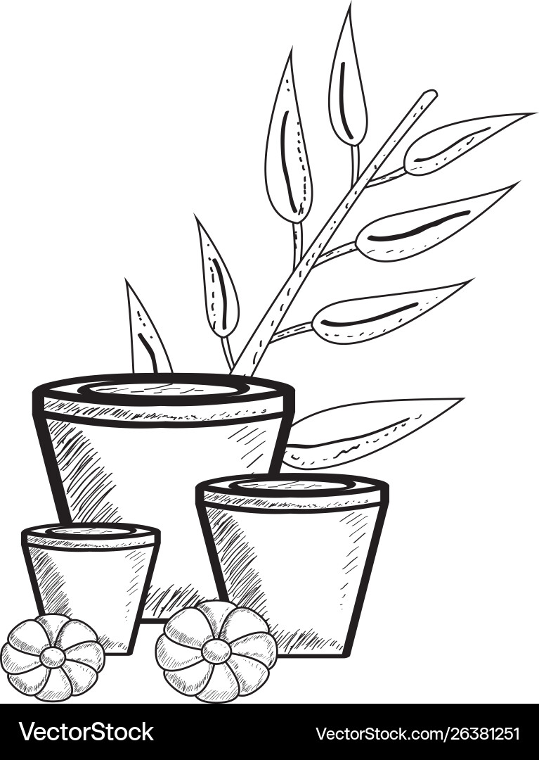 Sketch spa objects vector image