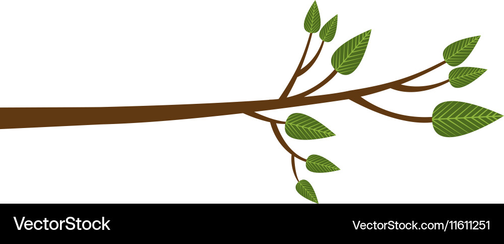 Tree branch icon image Vector Image