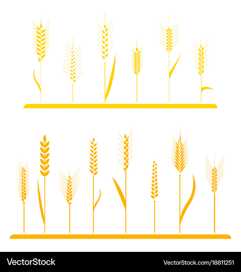 Wheat Field Icon Set vector image
