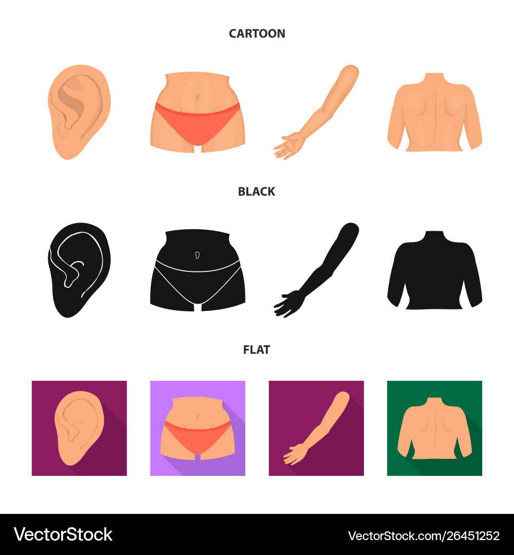 Design body and part icon collection Design body and part icon collection vector image