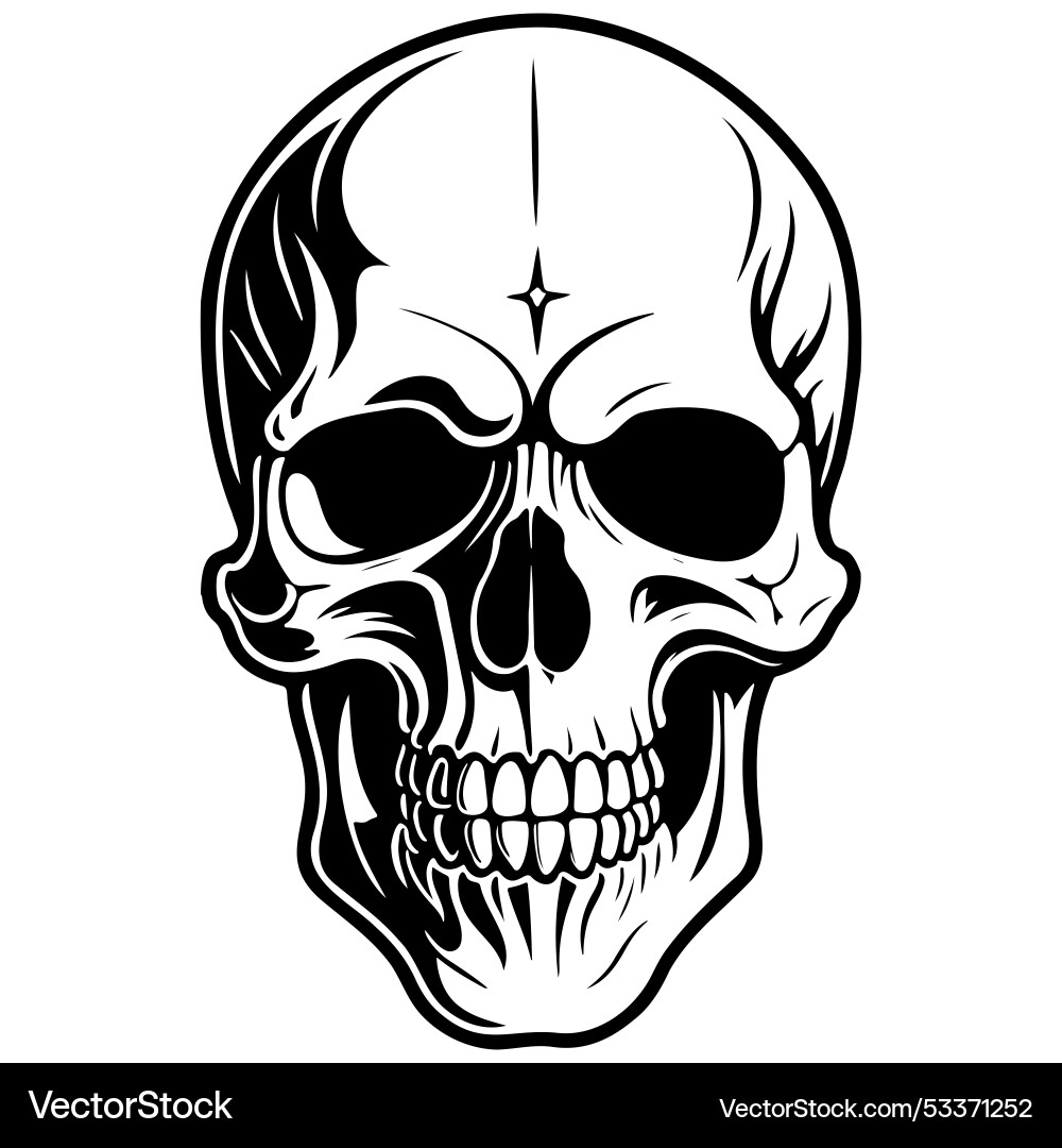 Skull drawing black line isolated Royalty Free Vector Image