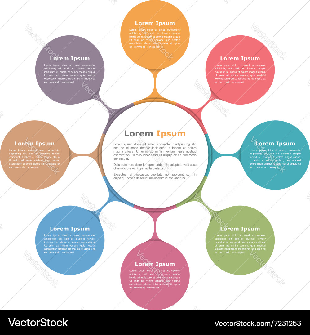 Circular Diagram Template Royalty Free Vector Image