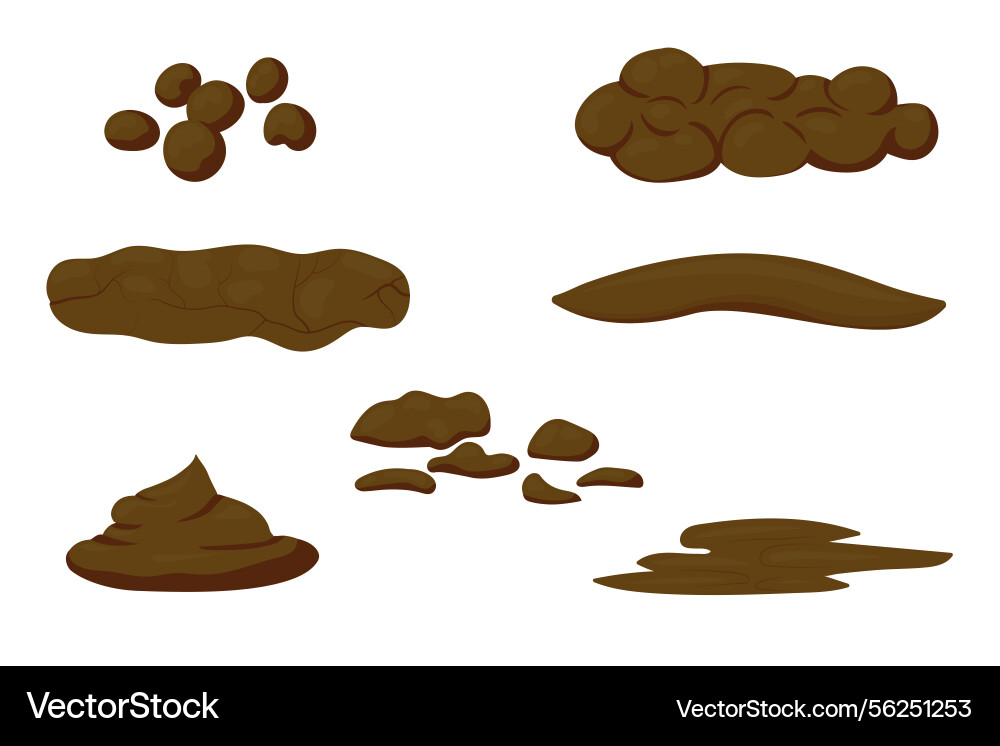 Different shapes of feces representing various Different shapes of feces representing various vector image