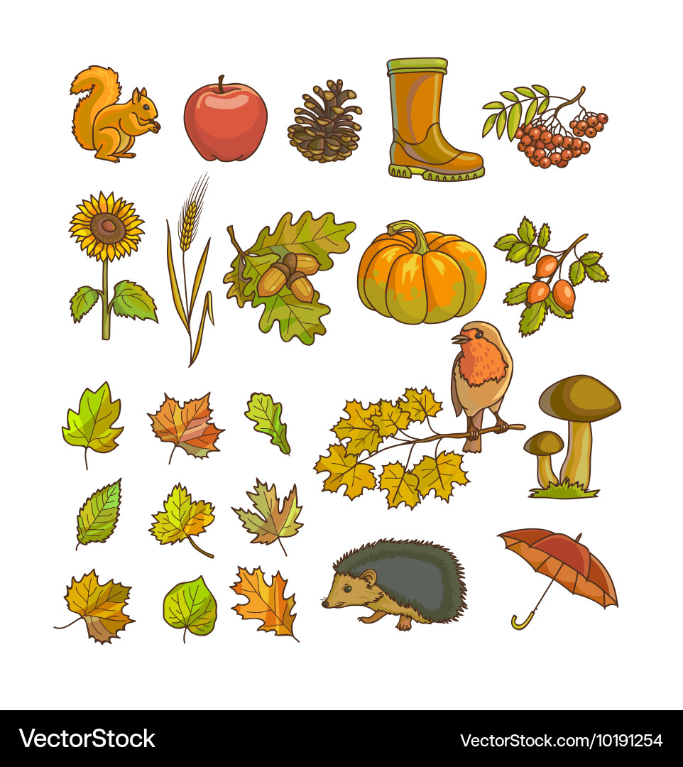 Autumn Objects & Leaves Set Vector Image