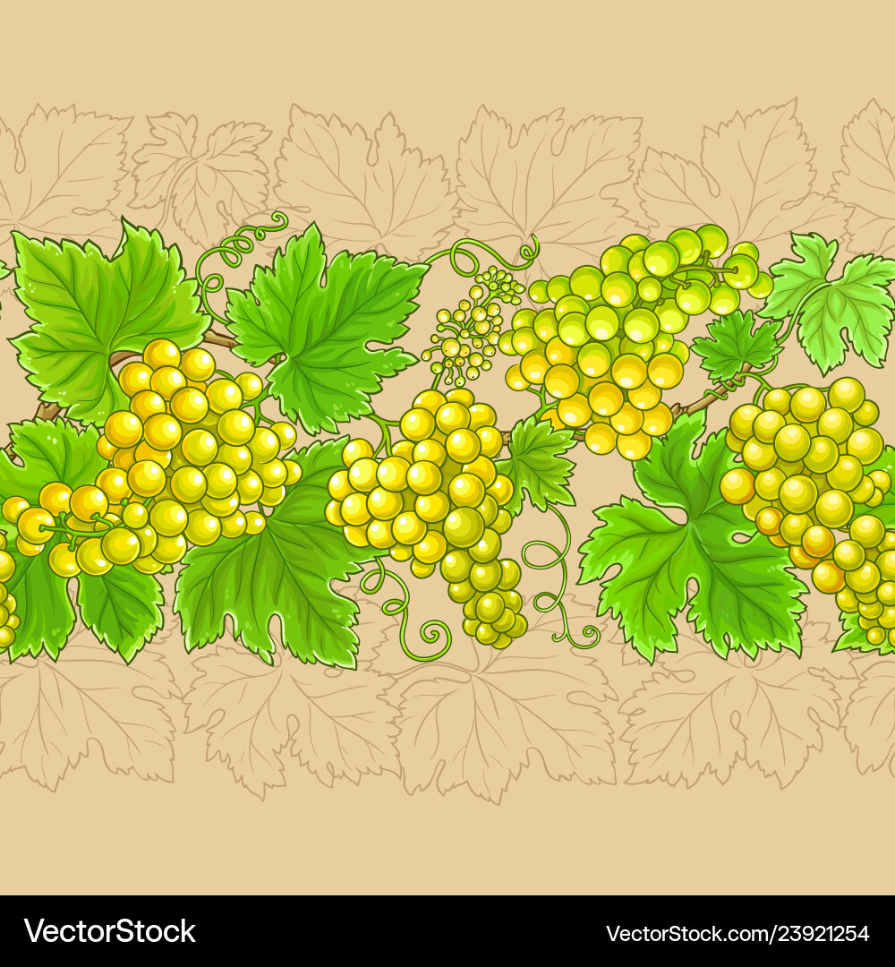 Grapes branches horizontal pattern Grapes branches horizontal pattern Vector Image