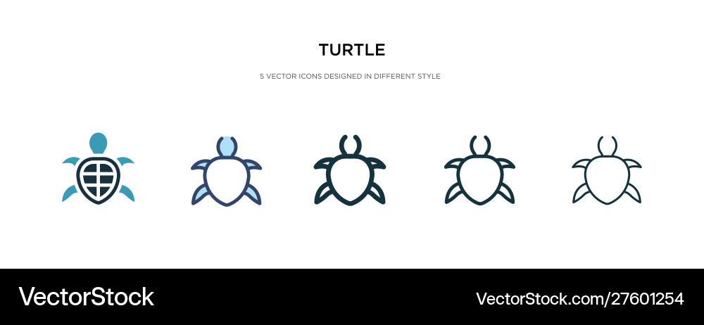 Turtle icon in different style two colored Vector Image