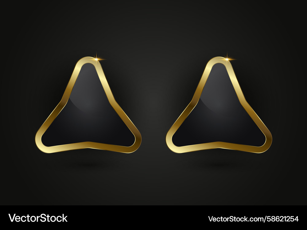 Two unique triangular button with rounded edges Vector Image