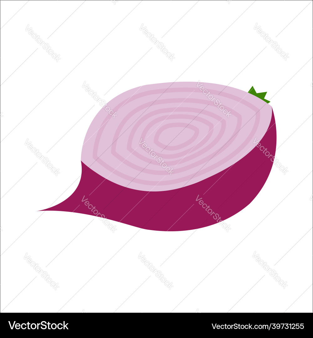 Image of an onion slice isolated on a white vector image