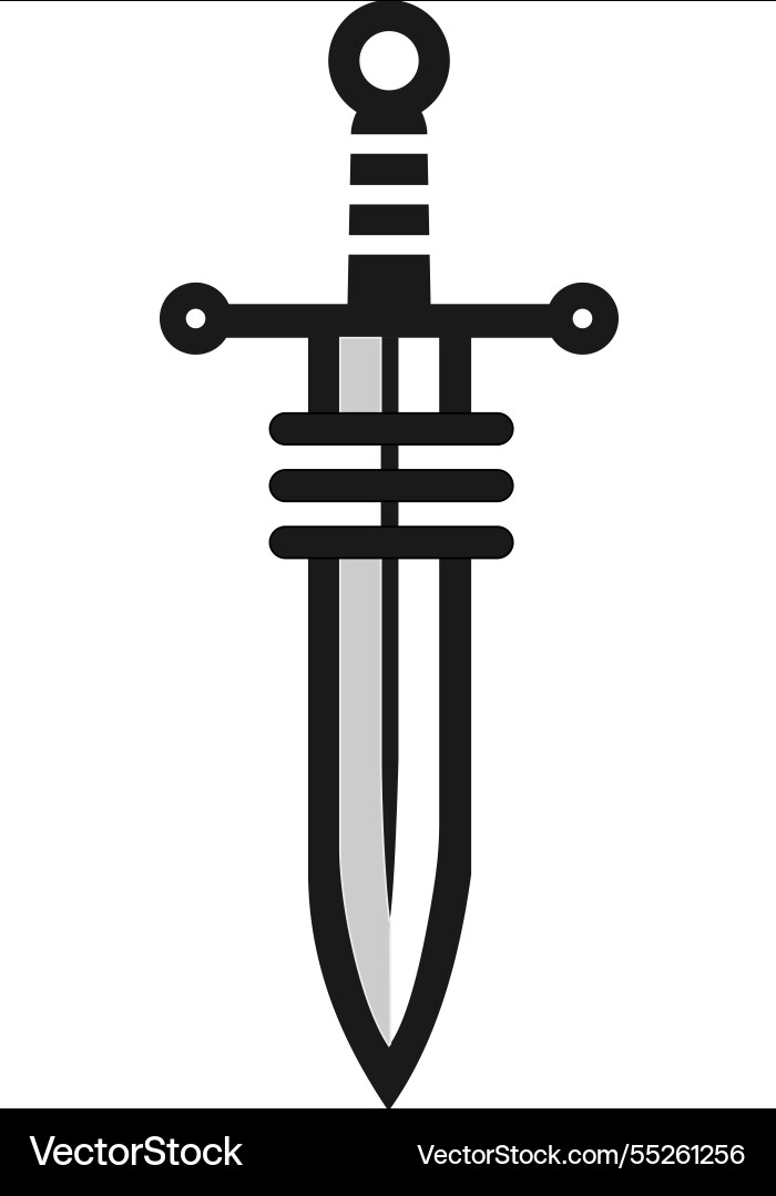 Swift sword security Vector Image