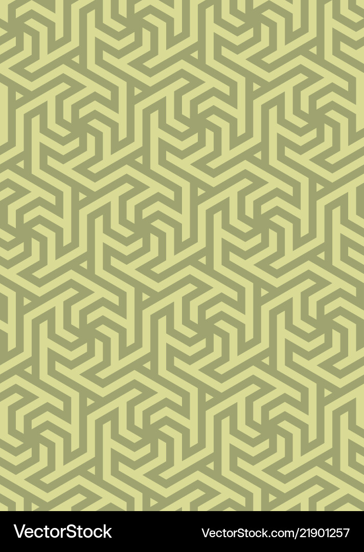 Geometric pattern hexagonal grid vector image