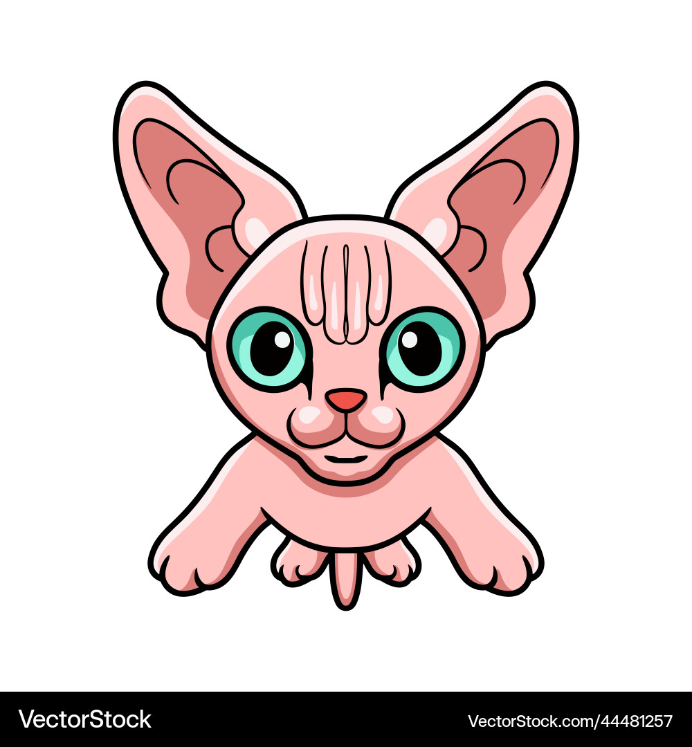 Niedliche Sphynx Katze Cartoon posiert Niedliche Sphynx Katze Cartoon posiert vektorbild