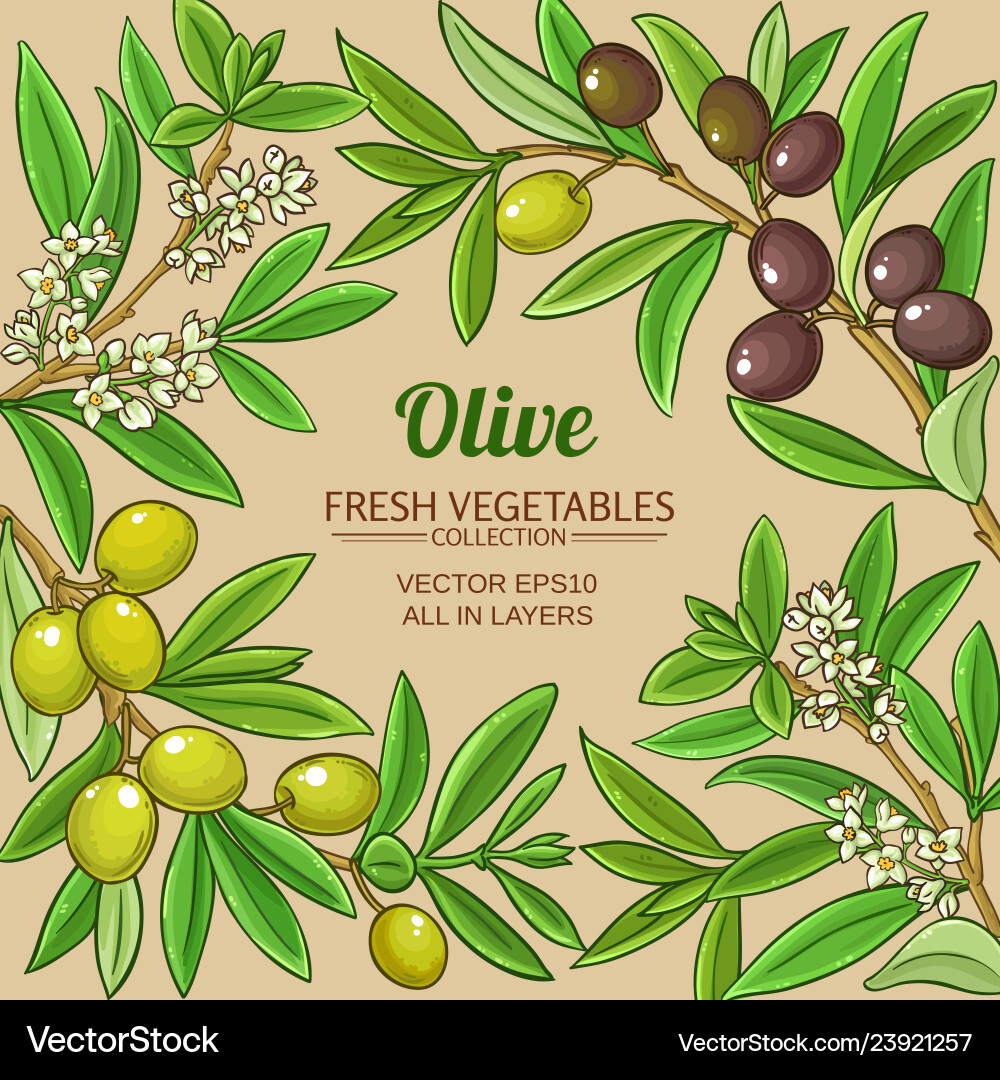 Olive branches frame on color background Olive branches frame on color background vector image