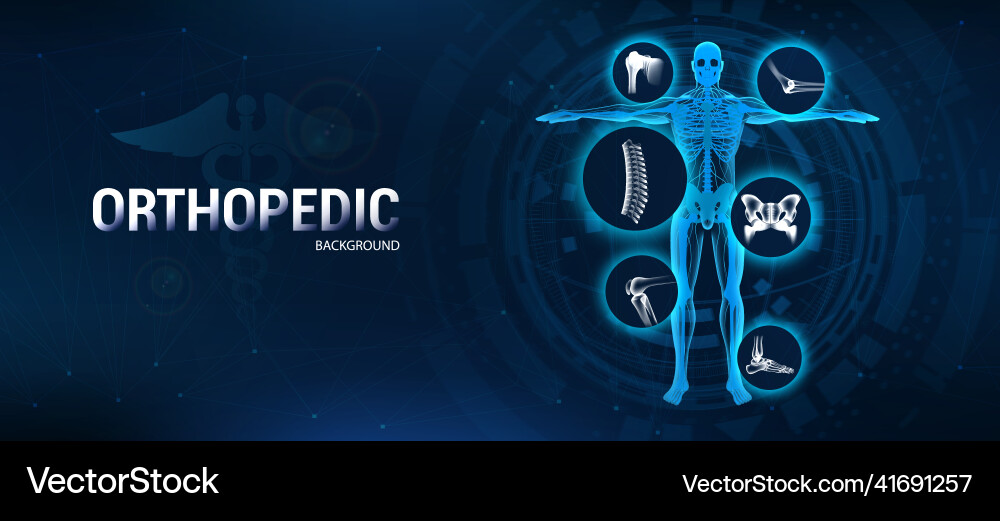 Rheumatology medical banner orthopedic vector image