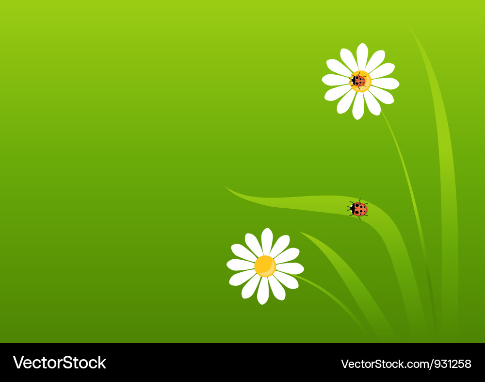 Background with a ladybug vector image